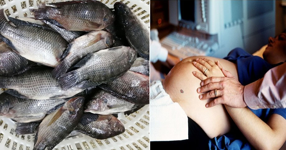 20 món ngon nhưng lại khiến thai nhi đau yếu, mẹ bầu thì đối mặt với nguy cơ tai biến vô cùng đáng sợ