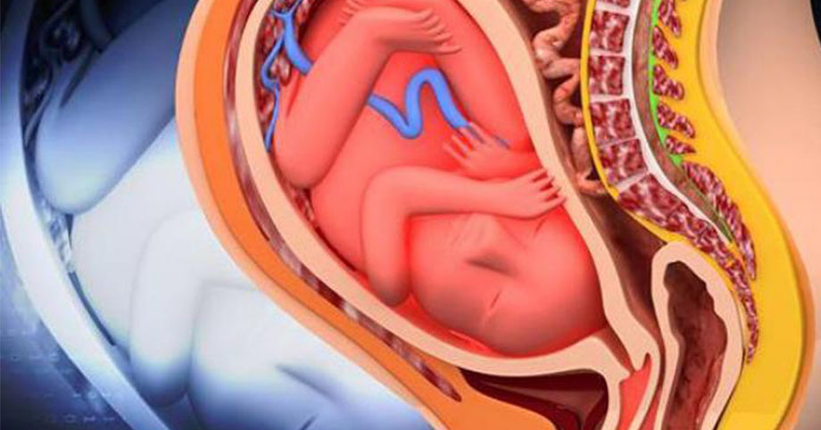 5 sai lầm khi tắm mẹ bầu cần tránh kẻo sinh con dị tật, hối hận không kịp