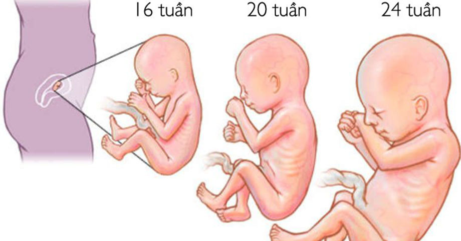 3 giai đoạn thai nhi tăng cân nhanh nhất, 6 thực phẩm mẹ nên ăn để con khỏe mạnh