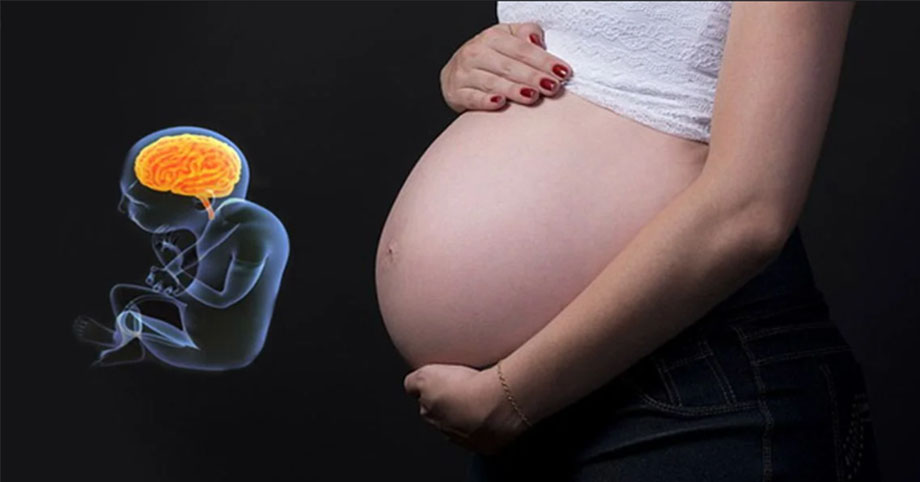 3 giai đoạn thai nhi phát triển trí não cực nhanh, mẹ bầu không nên bỏ lỡ