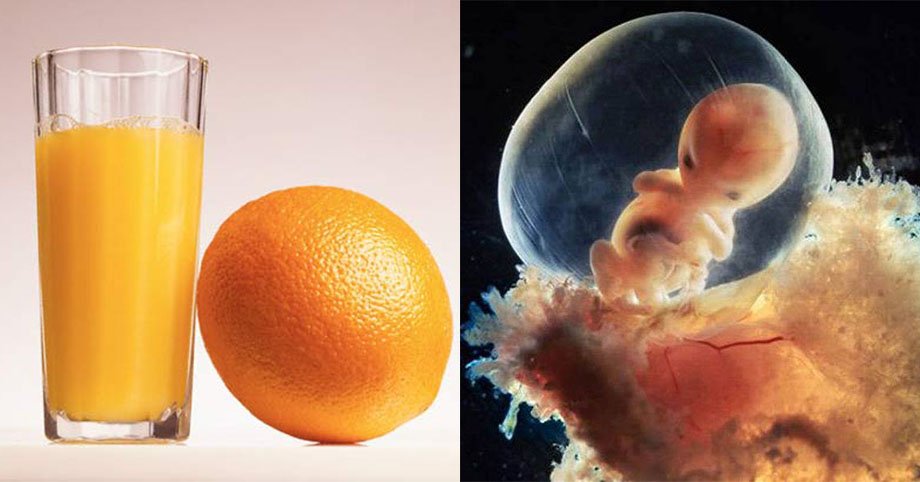 Những loại trái cây mẹ bầu nên ăn trong thai kỳ sinh con sẽ rất thông minh