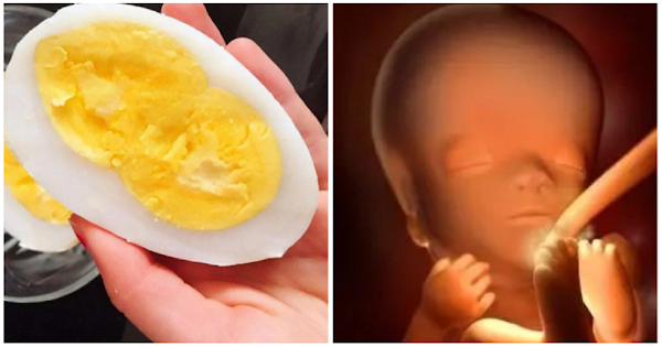 2 thời điểm mẹ bầu ăn trứng ngỗng sinh con thông minh, cân tăng đều đều đến tận ngày sinh