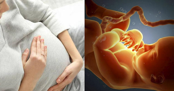 4 hoạt động hàng ngày của mẹ bầu khiến thai nhi dễ bị dây rốn quấn cổ
