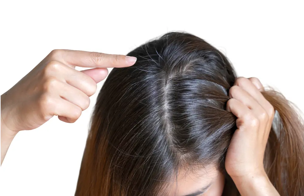 5 nguy hại khôn lường của thói quen nhổ tóc bạc không phải ai cũng biết